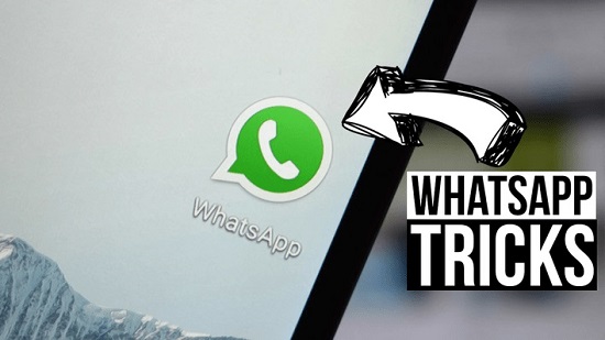 How to send a WhatsApp chat without saving the contact